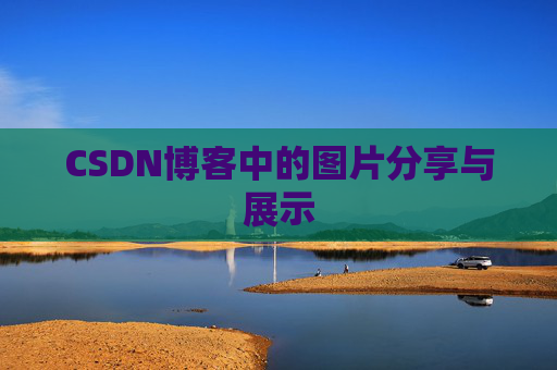 CSDN博客中的图片分享与展示